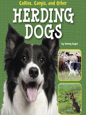 cover image of Collies, Corgies, and Other Herding Dogs